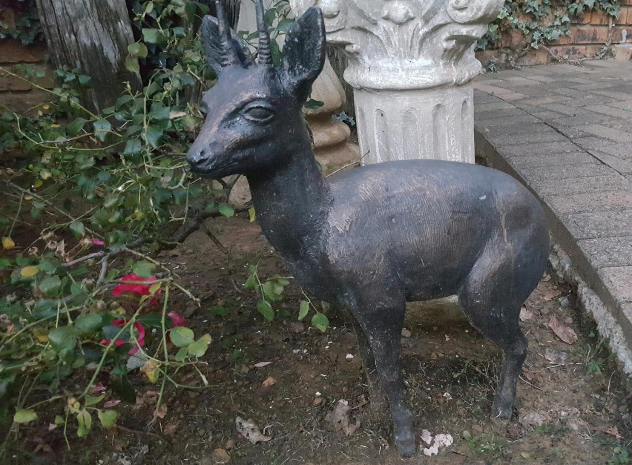 Gemsbok Cottage ベスレヘム エクステリア 写真